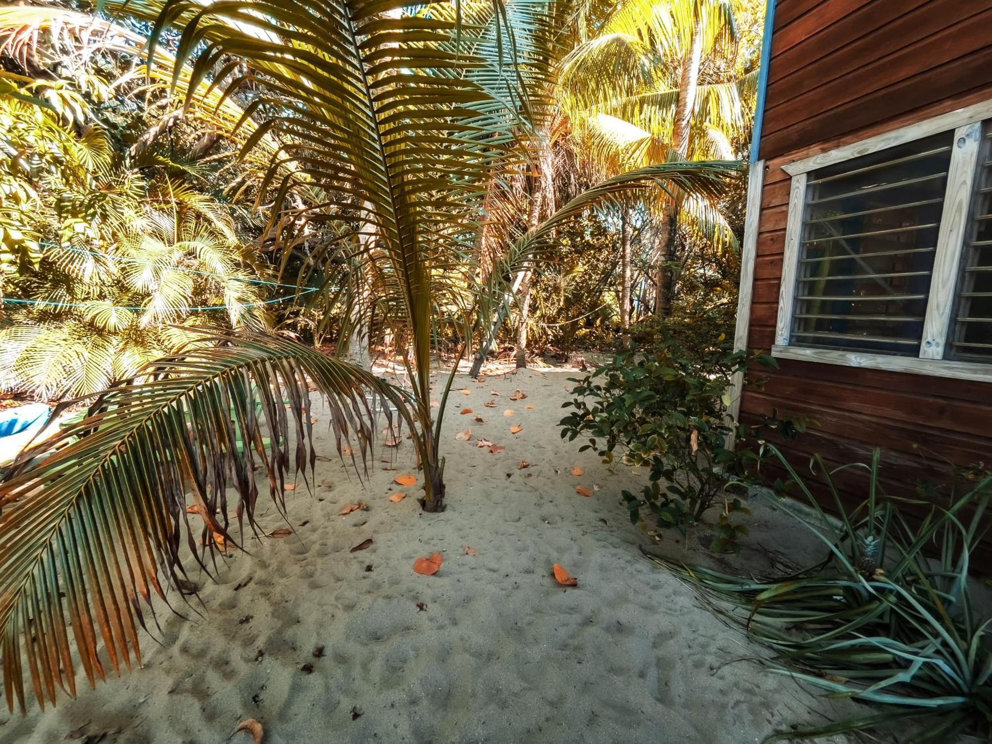 Anda Di Hows Hostel Placencia Zewnętrze zdjęcie