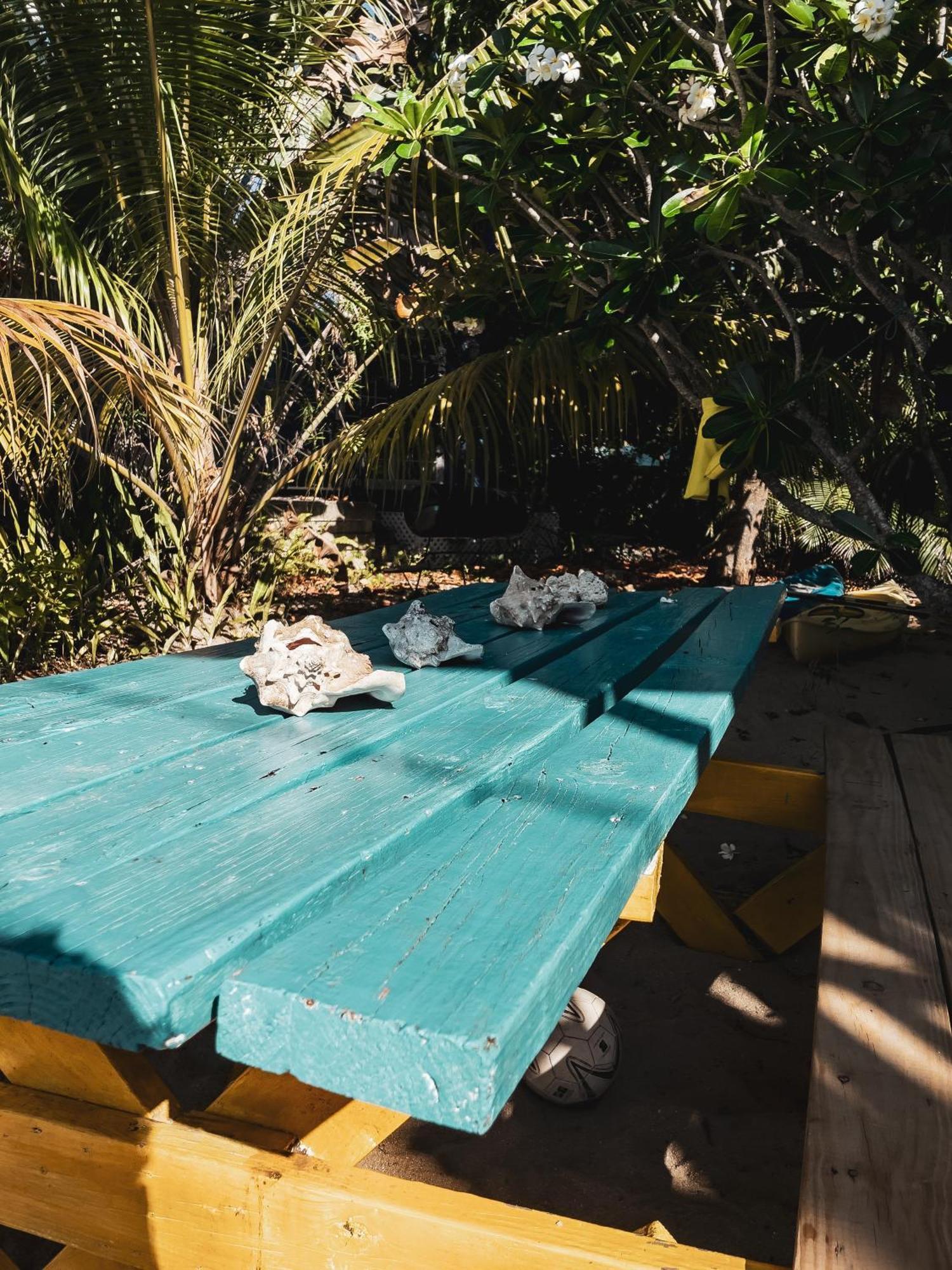 Anda Di Hows Hostel Placencia Zewnętrze zdjęcie