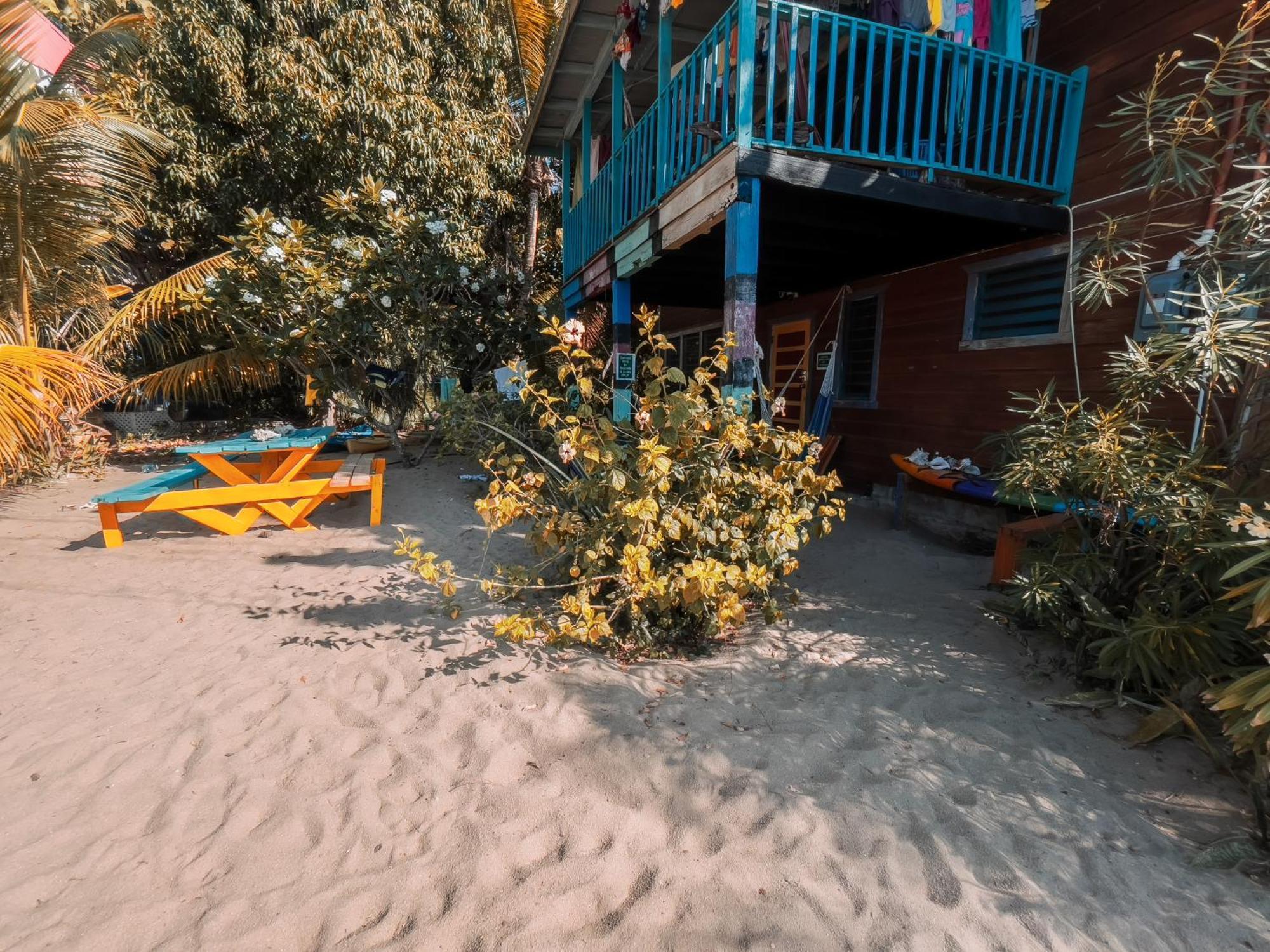 Anda Di Hows Hostel Placencia Zewnętrze zdjęcie