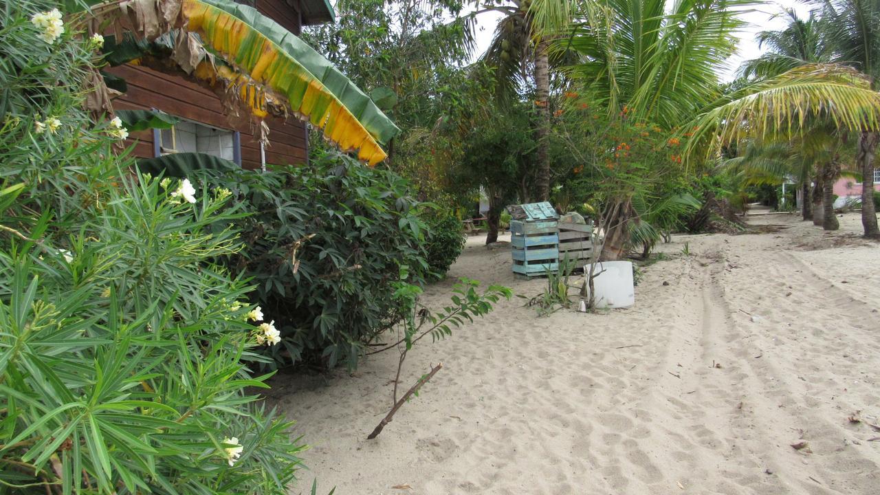 Anda Di Hows Hostel Placencia Zewnętrze zdjęcie