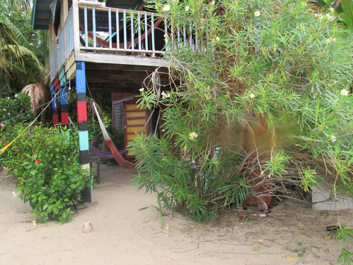 Anda Di Hows Hostel Placencia Zewnętrze zdjęcie
